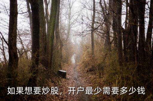 如果想要炒股，開(kāi)戶最少需要多少錢