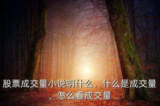 股票成交量小說(shuō)明什么，什么是成交量，怎么看成交量