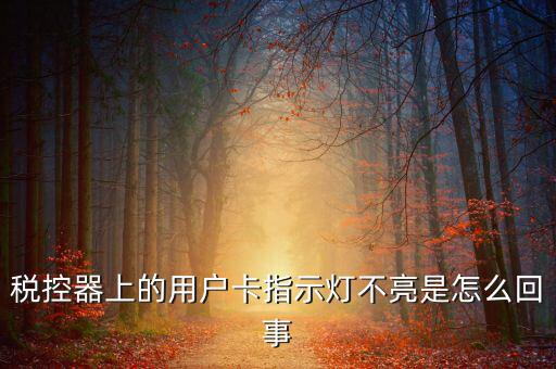 稅控機(jī)用戶卡是什么，稅控器上的用戶卡指示燈不亮是怎么回事