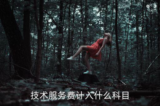 技術(shù)服務收入計入什么科目，收到技術(shù)服務費計入什么科目