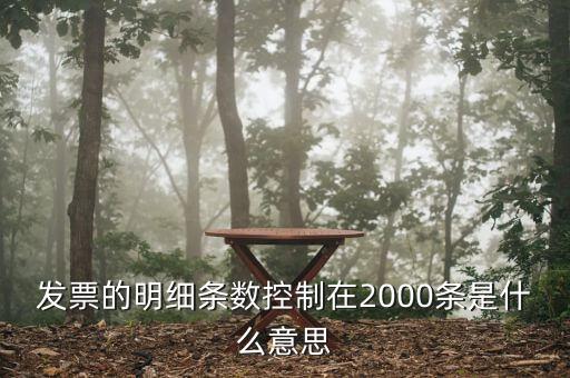 發(fā)票明細(xì)什么意思，發(fā)票的明細(xì)條數(shù)控制在2000條是什么意思