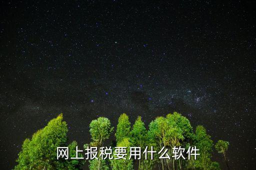 網上報稅下載什么軟件，深圳etax網上報稅軟件哪里下載