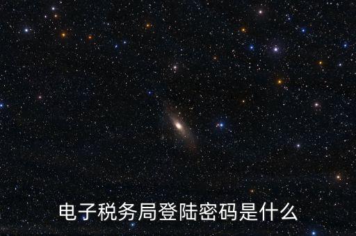 納稅人登路的密碼是什么，國稅第一次網上申報的登陸密碼是什么