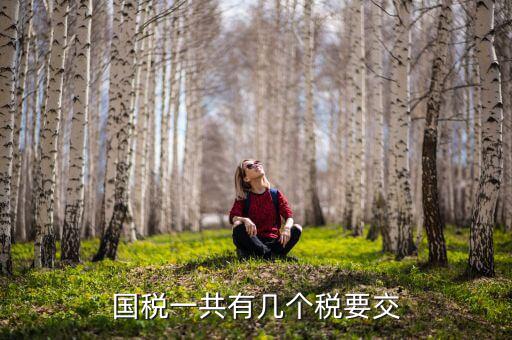 國(guó)稅一共有幾個(gè)稅要交