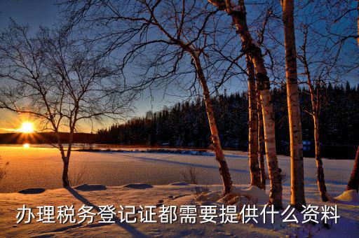 稅務(wù)登記都需要什么資料，辦理稅務(wù)登記證都需要提供什么資料