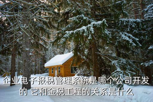 什么是網稅系統(tǒng)，企業(yè)電子報稅管理系統(tǒng)是哪個公司開發(fā)的 它和金稅工程的關系是什么