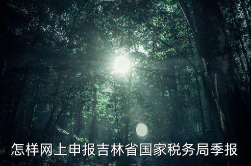 吉林省用什么報(bào)稅系統(tǒng)，吉林省的報(bào)稅系統(tǒng)如何使用