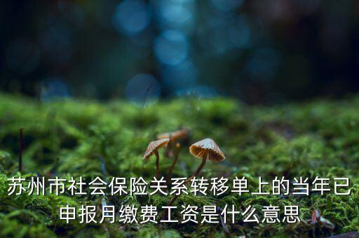 社保已申報(bào)是什么意思，新手求助請問網(wǎng)上申報(bào)是什么意思