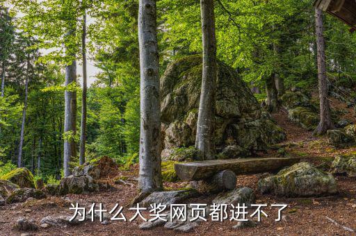 航天金穗網(wǎng)為什么進不去網(wǎng)頁，WW3ZHONGCN這個網(wǎng)站怎么進不去了呢