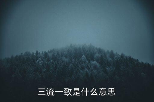 發(fā)票 流向一致是什么意思，發(fā)票四流一致是哪四流