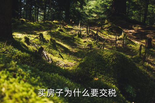 為什么 家庭納稅，納稅對(duì)家庭有什么影響