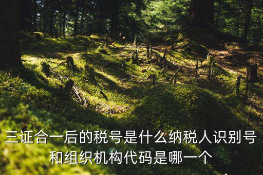 三證合一后的稅號是什么納稅人識別號和組織機構代碼是哪一個