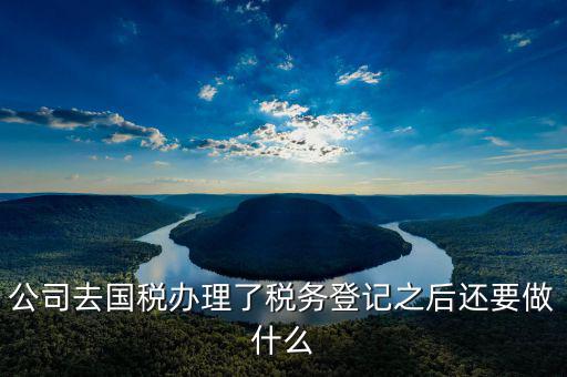 國稅辦完之后辦什么，公司去國稅辦理了稅務登記之后還要做什么