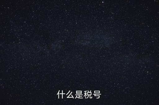 什么是單位稅號，什么是稅號