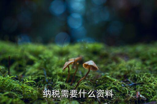 納稅人需要什么，納稅需要什么資料