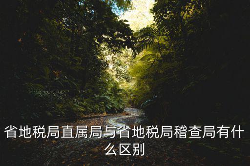 什么是地稅直屬局，國家稅務(wù)局直屬稅務(wù)分局是什么意思