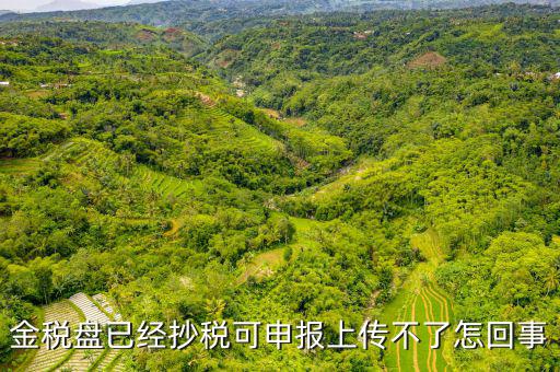 金稅申報發(fā)送不了是什么原因，金稅盤已經(jīng)抄稅可申報上傳不了怎回事
