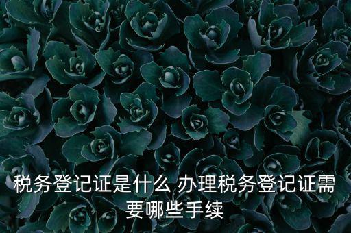 地稅局登記是什么，地稅辦理稅務(wù)登記需要哪些資料