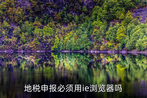 用什么瀏覽器申報(bào)山東地稅，地稅申報(bào)必須用ie瀏覽器嗎