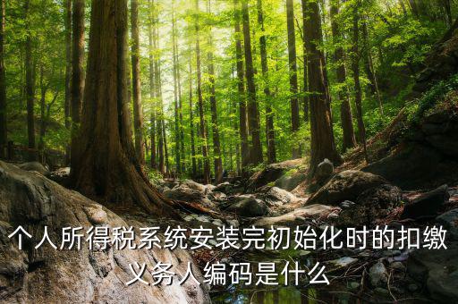 扣繳人義務編碼是什么，扣繳義務人編碼是什么啊