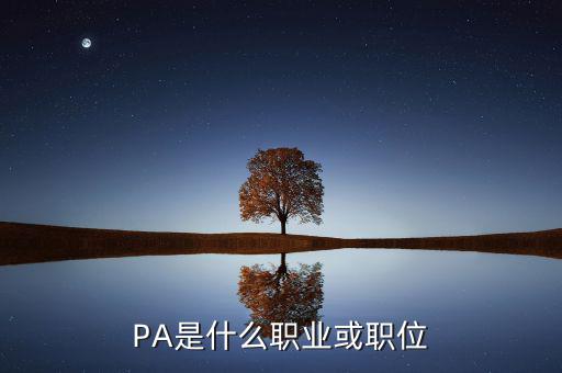 河南省國稅局陳紅偉什么職務(wù)，PA是什么職業(yè)或職位