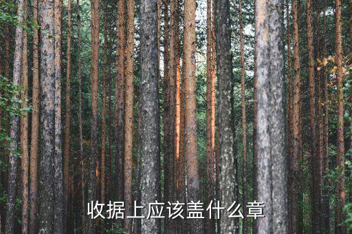 收據(jù)應(yīng)蓋什么章，收據(jù)蓋什么章有規(guī)定嗎
