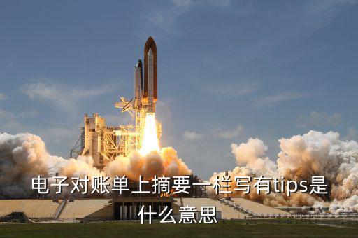 國稅tips系統(tǒng)指什么，電子對賬單上摘要一欄寫有tips是什么意思
