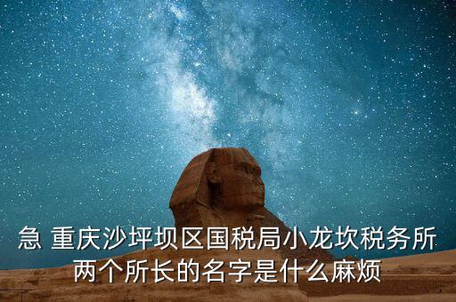 稅務所所長什么級別，地稅局基層稅務所屬什么層級
