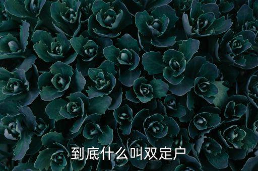 什么是雙定戶，雙翅一一翻雙眉什么雙眼什么