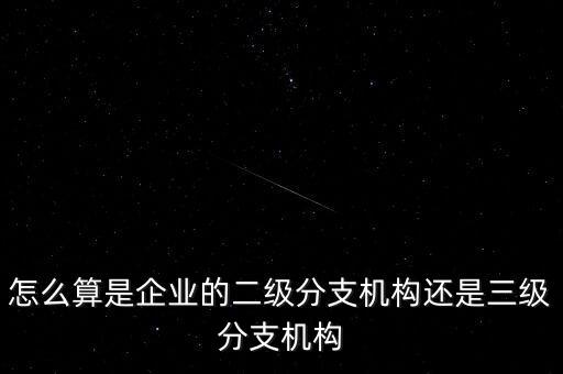 什么叫企業(yè)二級分支機構(gòu)，現(xiàn)在分公司要辦稅務(wù)登記證但是我想問一下二級分機構(gòu)指的是