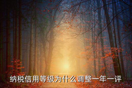 納稅信用等級為什么調整一年一評