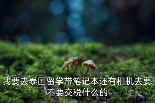 泰國什么人需要納稅，我要去泰國留學帶筆記本還有相機去要不要交稅什么的