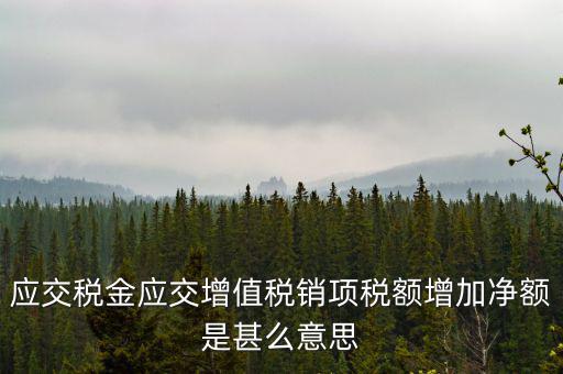 稅額增長點是什么意思，應交稅金應交增值稅銷項稅額增加凈額是甚么意思