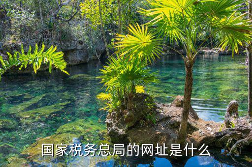 什么網(wǎng)址可以打開國家稅務(wù)網(wǎng)站，國家稅務(wù)總局的網(wǎng)址是什么