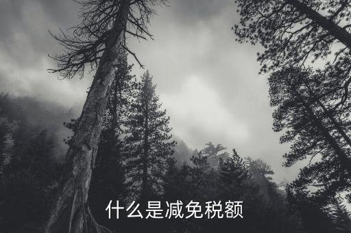 什么是抵免所得稅額，企業(yè)所得稅的減免額抵減額指的是什么