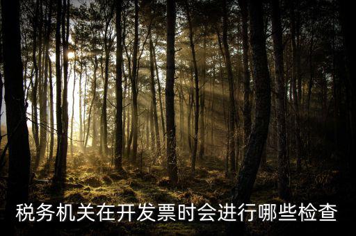 國(guó)稅專(zhuān)業(yè)發(fā)票核查是什么，國(guó)稅發(fā)短信讓帶公章去稅務(wù)局核查發(fā)票是什么意思急急急