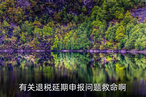 有關(guān)退稅延期申報(bào)問(wèn)題救命啊