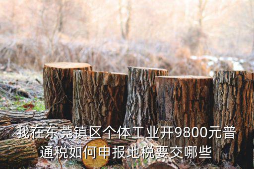 四稅一費(fèi)是什么，我在東莞鎮(zhèn)區(qū)個體工業(yè)開9800元普通稅如何申報地稅要交哪些