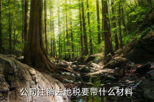 注銷地稅需要帶什么資料，公司注銷去地稅要帶什么材料