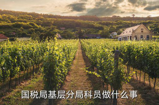 國(guó)稅局文秘干什么，公務(wù)員國(guó)稅局基層局科員和辦公室文秘哪個(gè)好