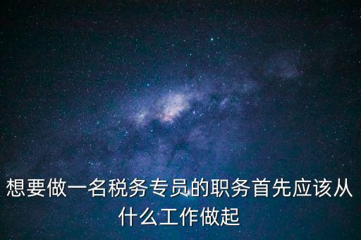稅務專員是做什么的，稅務坐席專員做什么
