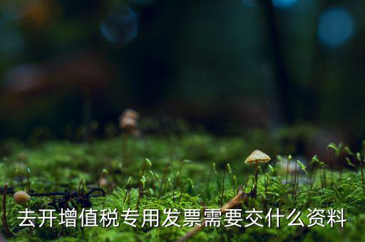 開(kāi)專(zhuān)票需要對(duì)方什么資料，開(kāi)具增值稅專(zhuān)用發(fā)票需要購(gòu)買(mǎi)方提交什么資料稅屋