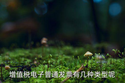 普通發(fā)票有什么種類，發(fā)票分幾種