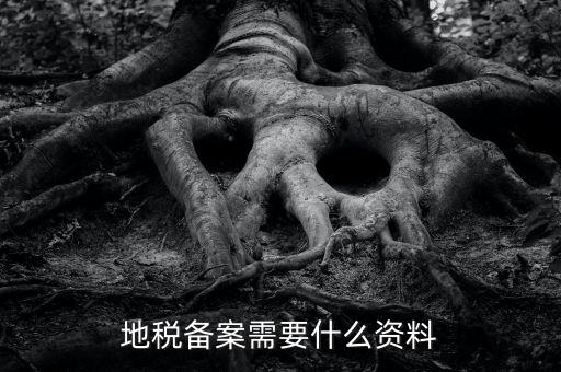 國(guó)地稅備案需要什么資料，地稅備案需要什么資料