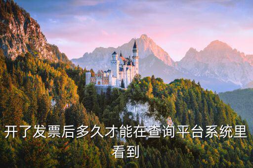 勾選平臺什么時(shí)候可以查到發(fā)票，已經(jīng)開具的專用發(fā)票多久才能在勾選平臺中查到