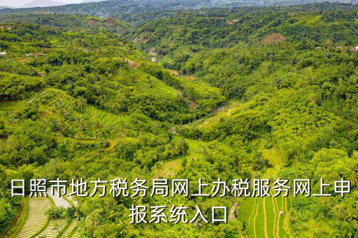 日照報(bào)稅的網(wǎng)址是什么意思，網(wǎng)上報(bào)稅在哪個網(wǎng)站