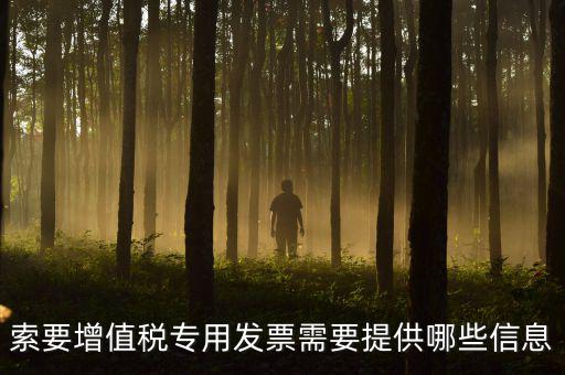 專用發(fā)票需要什么信息，現(xiàn)在開(kāi)取增值稅專用發(fā)票需要什么資料
