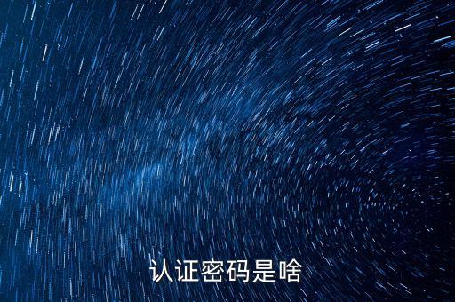 網(wǎng)上認證的密碼是什么意思啊，市民身份證手機認證服務密碼是什么意思在線等急