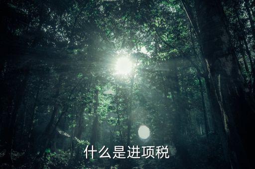 進項是指什么，什么是進項稅