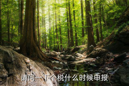 個稅什么時(shí)候開始申報(bào)，個人所得稅明細(xì)申報(bào)什么時(shí)候報(bào)